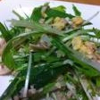 ツナと水菜の簡単ハリハリサラダ